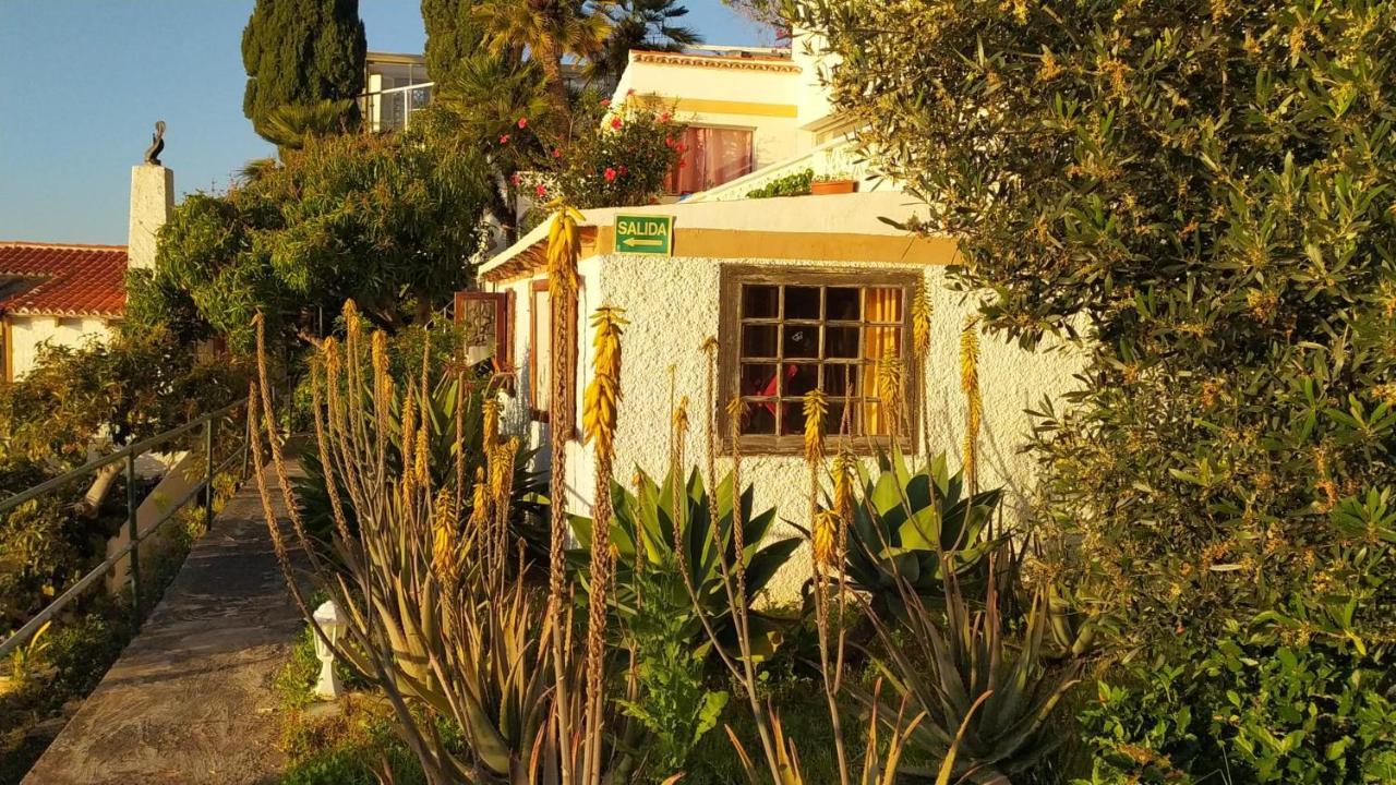 Willkommen im Paradies - Welcome in Paradise - Bienvenidos al paraíso La Matanza De Acentejo Exterior foto