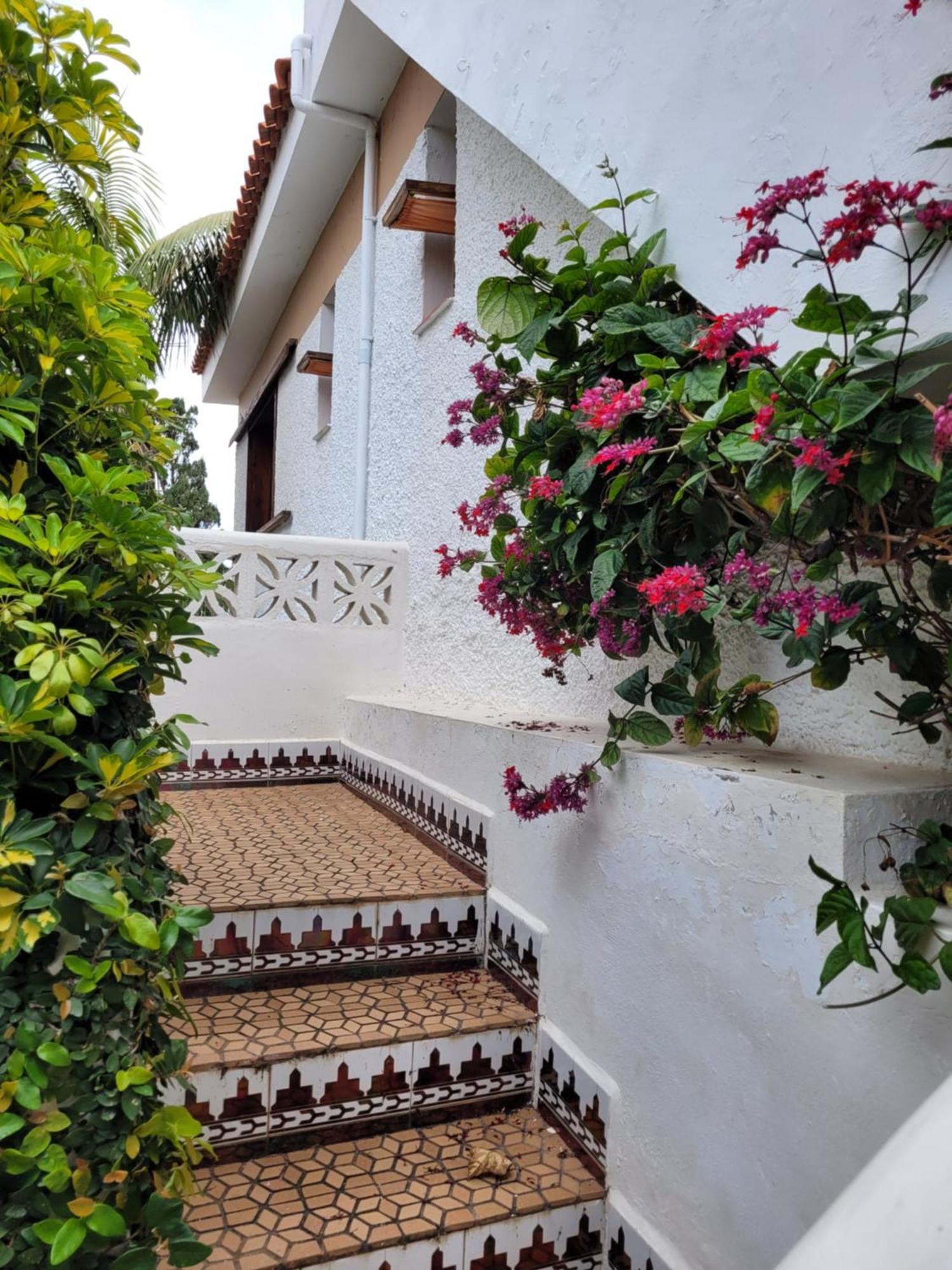 Willkommen im Paradies - Welcome in Paradise - Bienvenidos al paraíso La Matanza De Acentejo Exterior foto